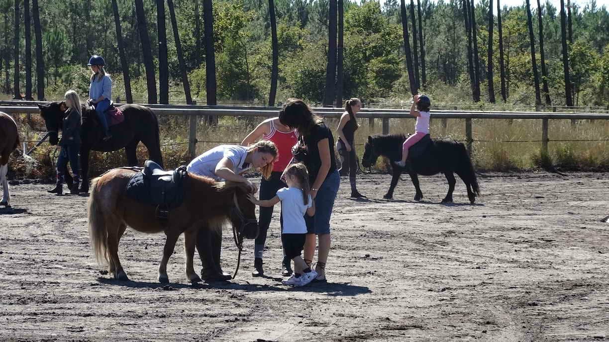 centre-equestre-les-pins