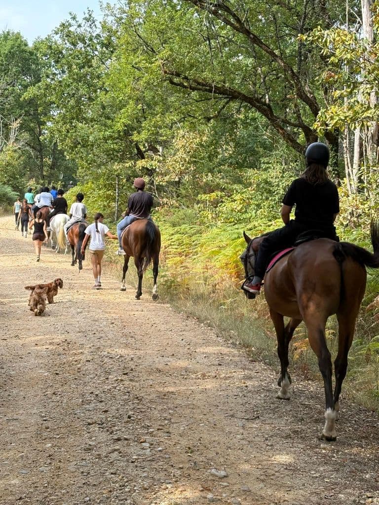 centre-equestre-neuvic