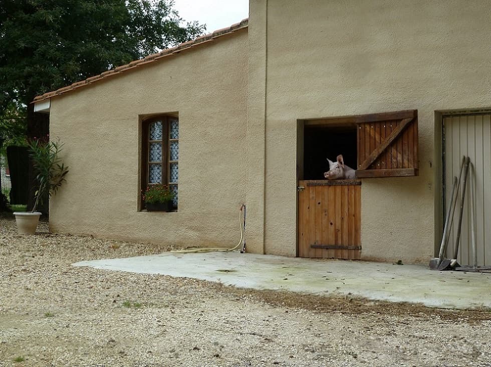 L'extérieur