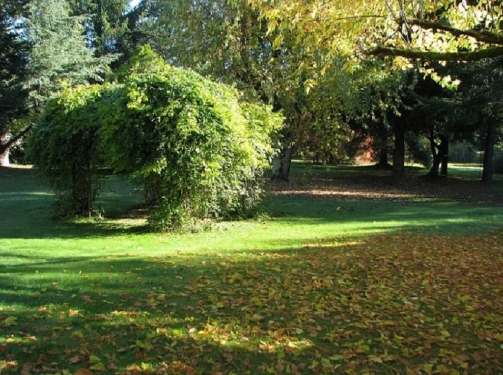 le joli parc arboré