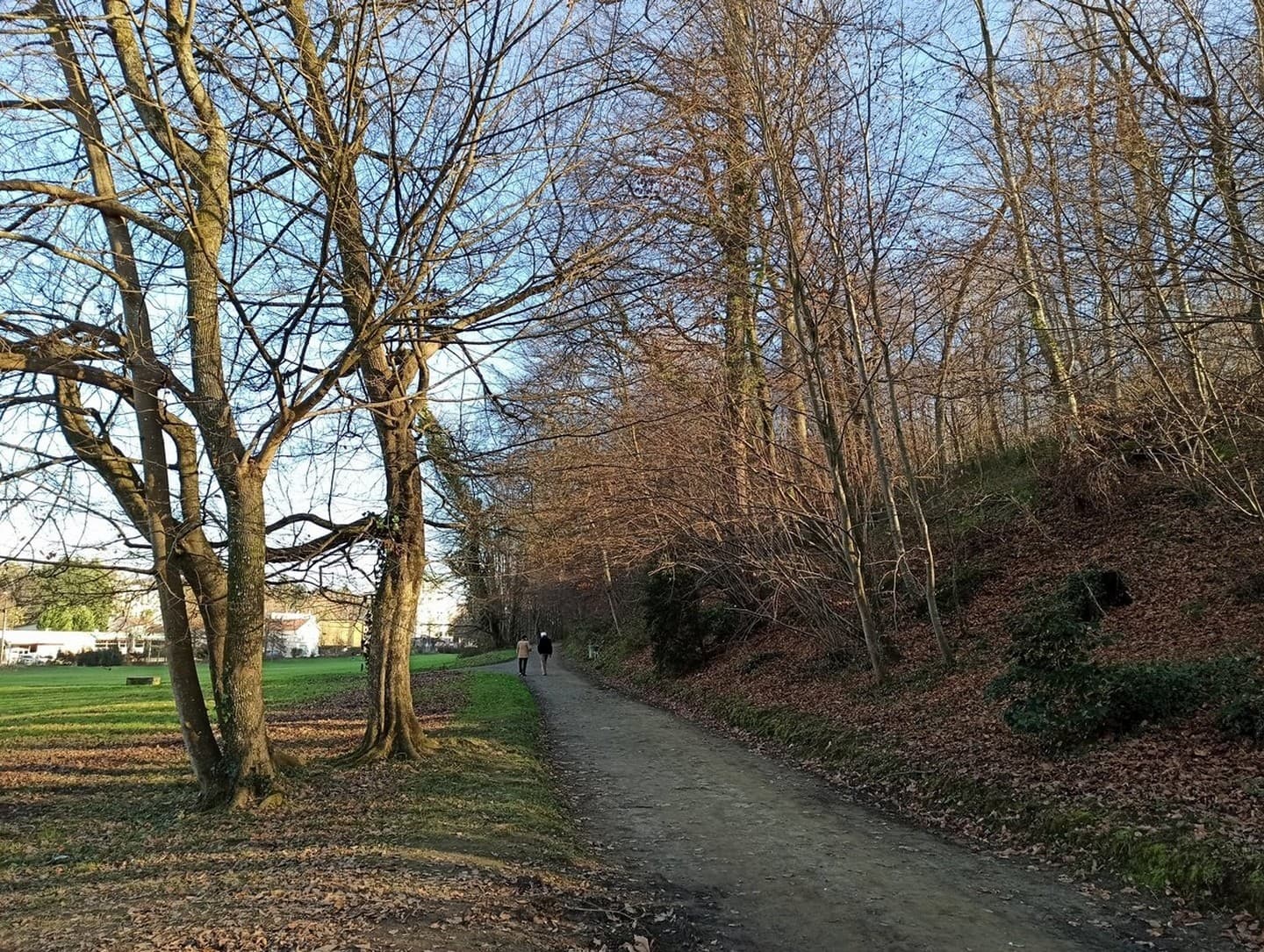 Parc du Château - Pau - en hiver