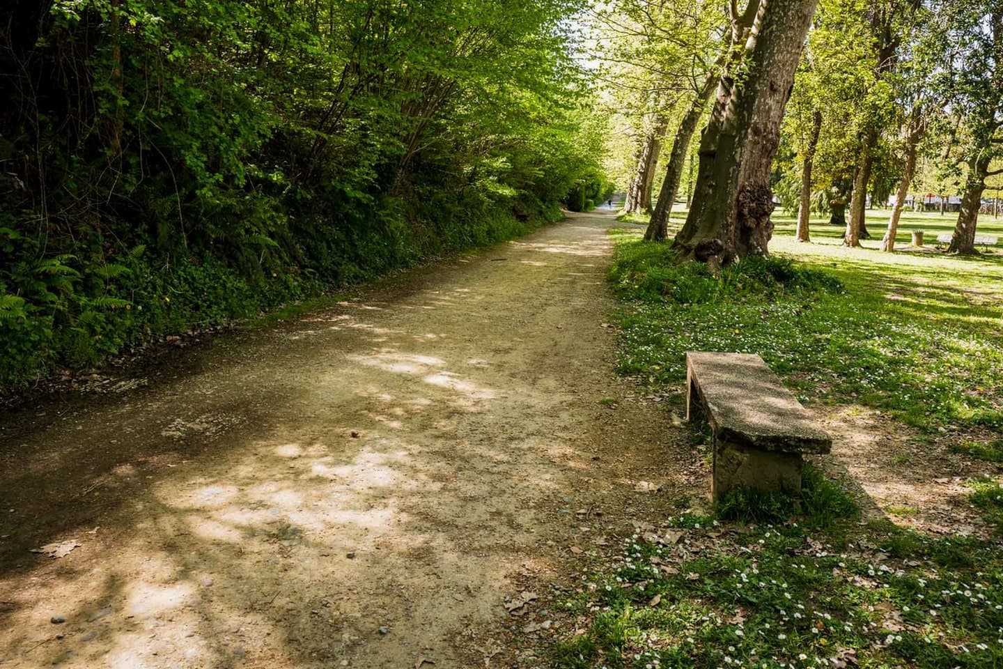 Parc du Château - Pau - allée 1