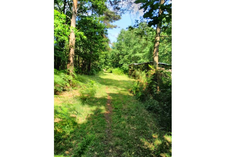 Camping le Bois de Saint-Hilaire_19