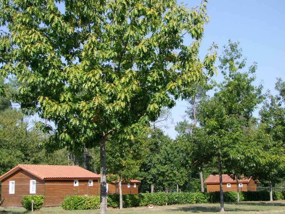 chalet 3