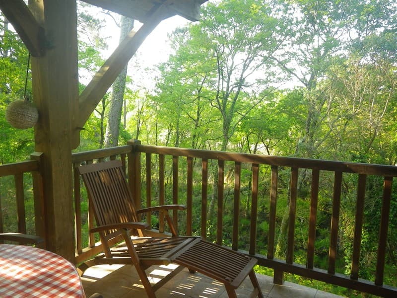 chalet-dunes18-delpech-bisca