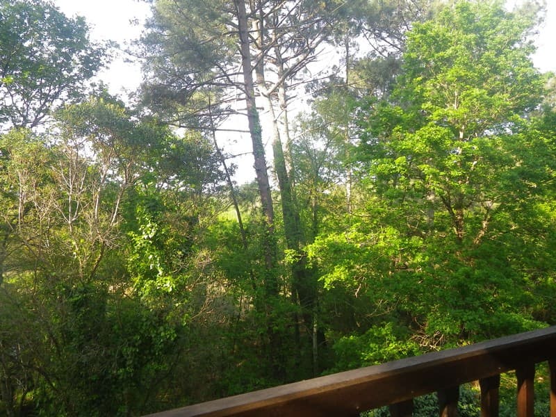 chalet-dunes20-delpech-bisca
