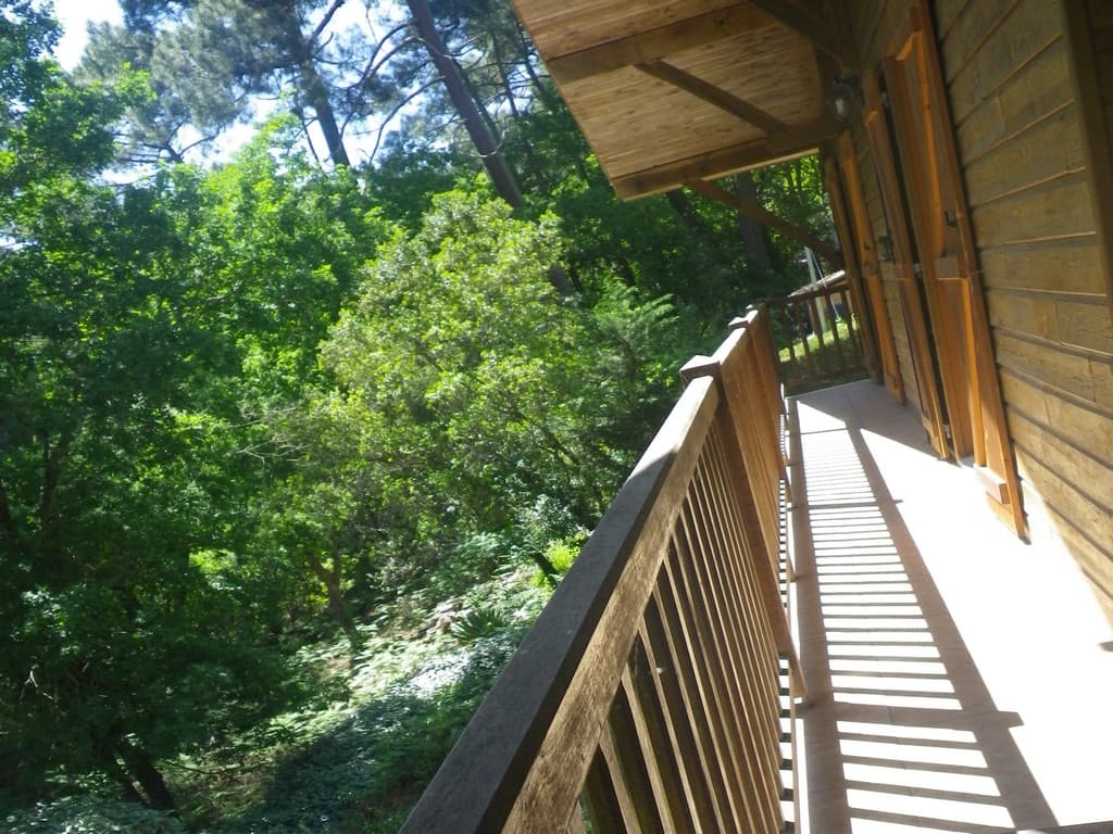 chalet-dunes7-delpech-bisca