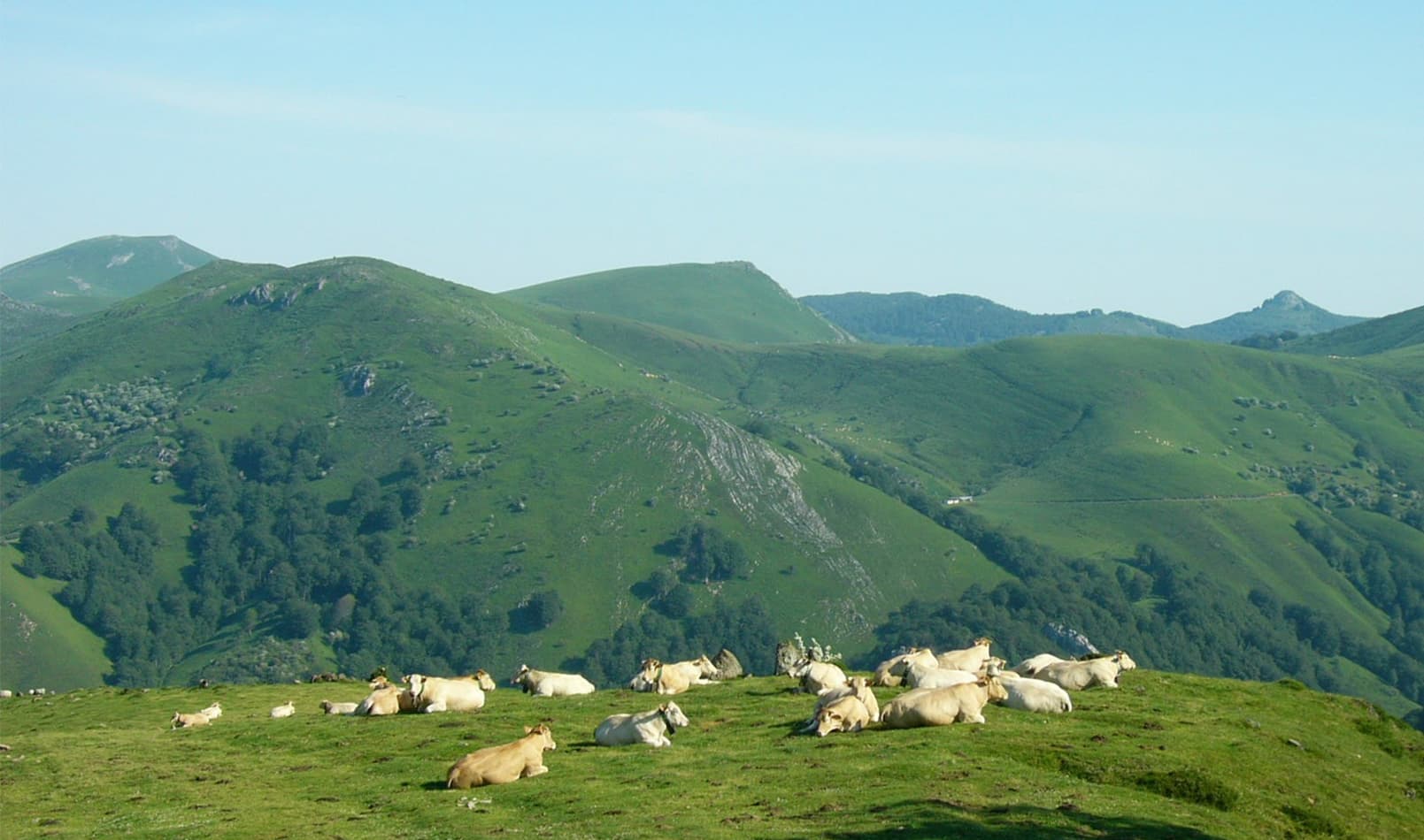 chalets-iraty-vue