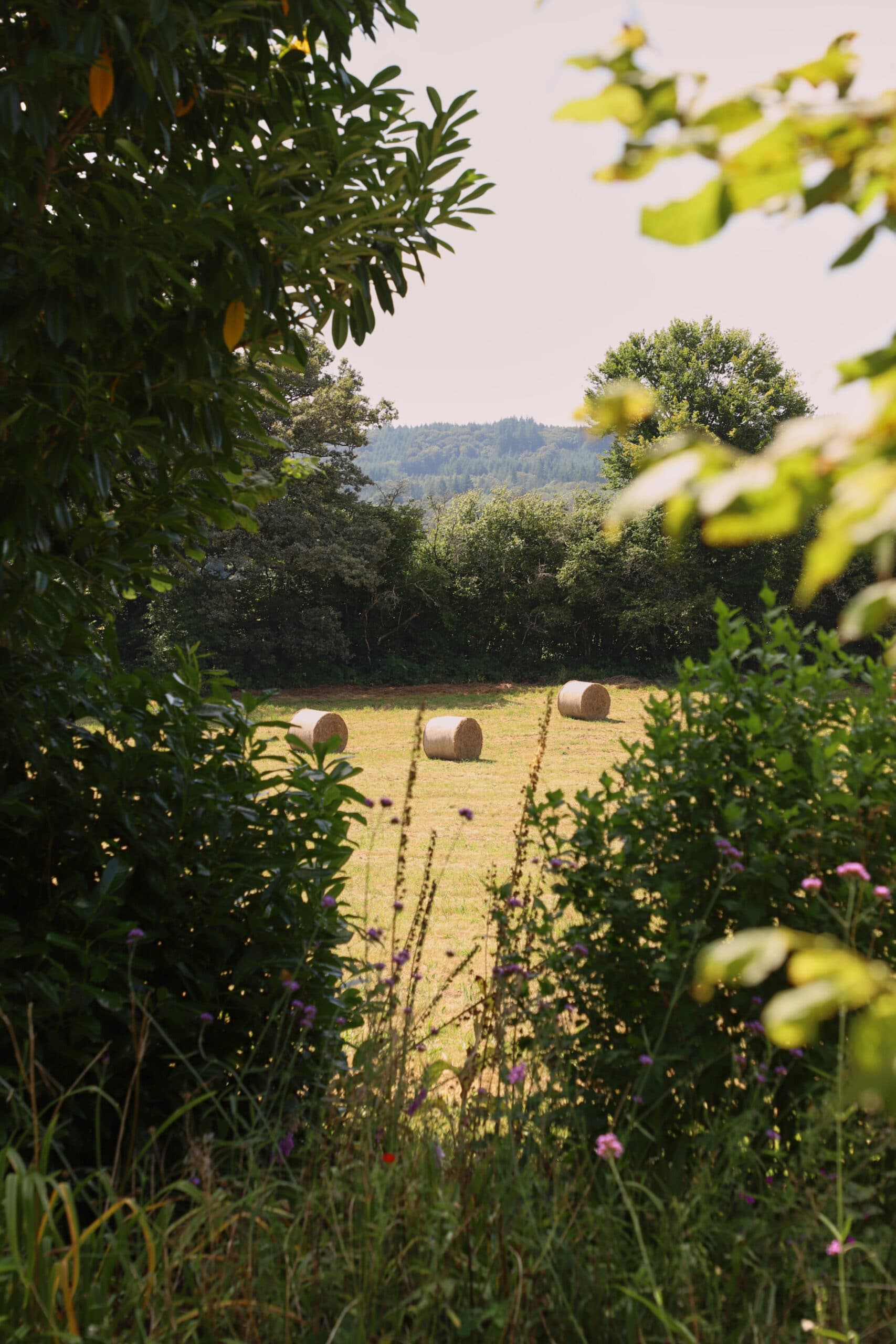 Vue sur les champs alentour