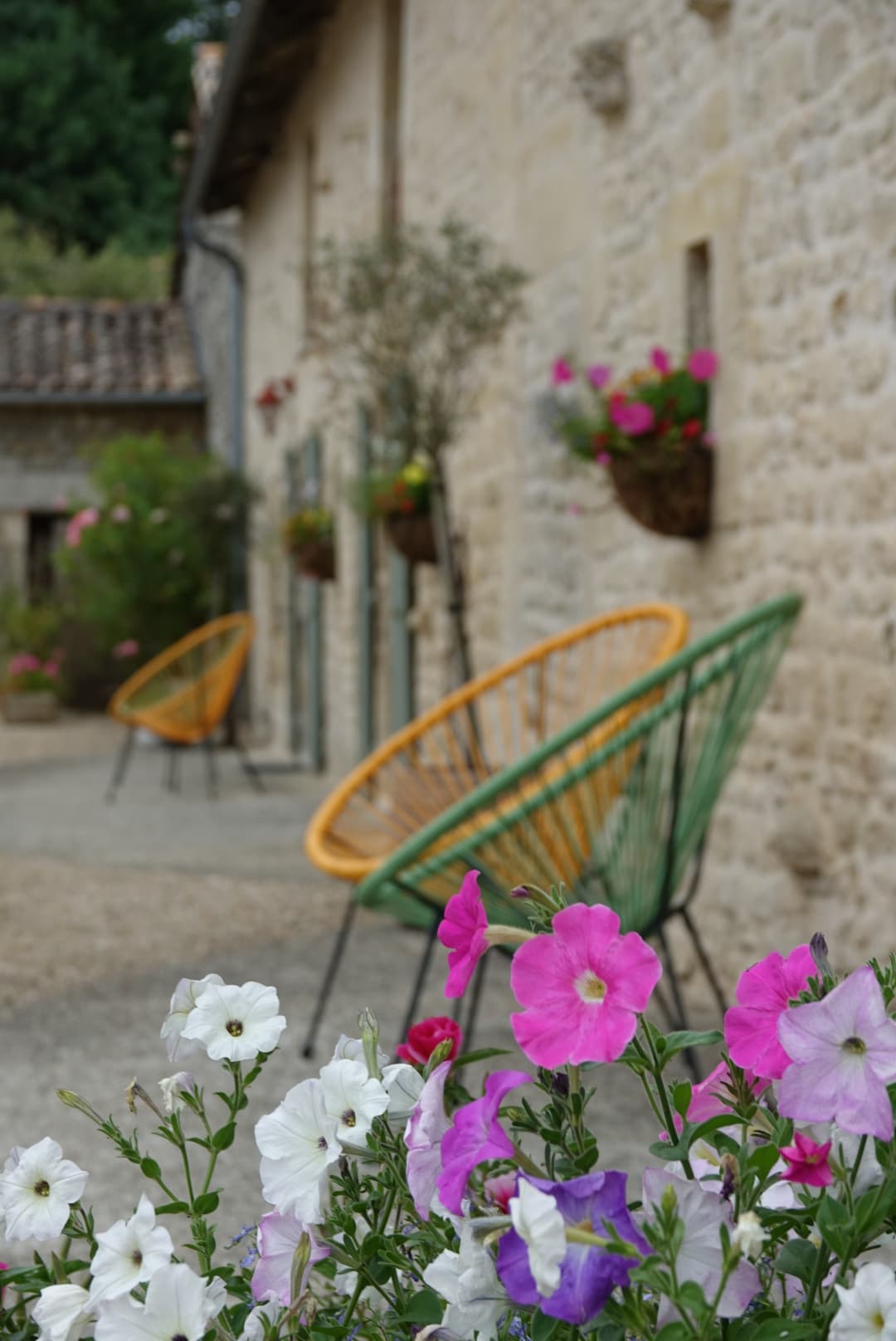 Courtyard - Gites dans les champs