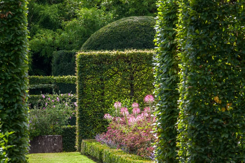 charmille jardinieres pheretaxus 7