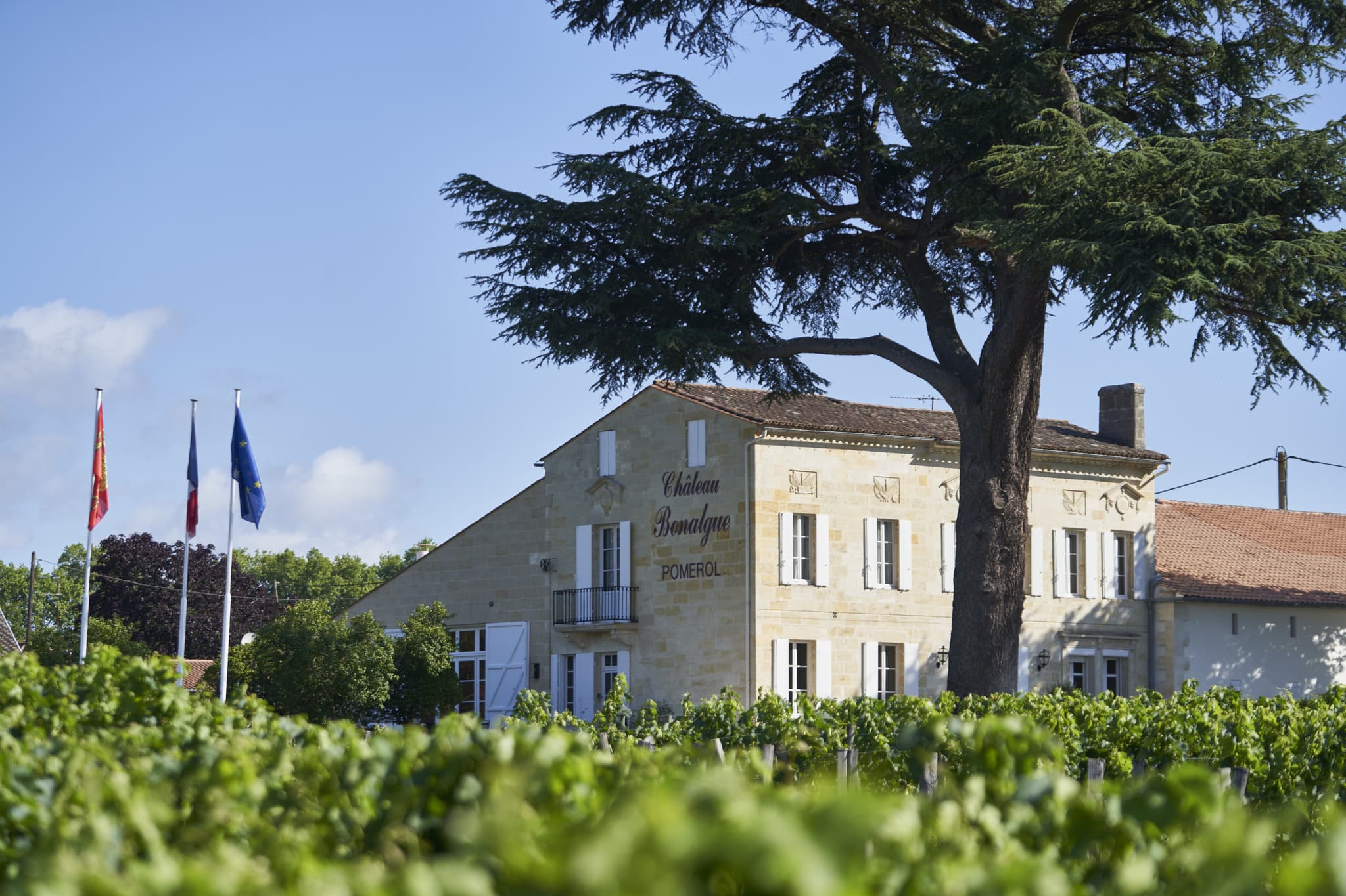 Château Bonalgue 1