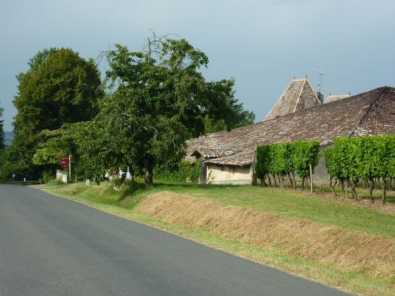 chateau-caillavel (4)