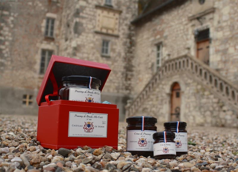 chateau-de-born