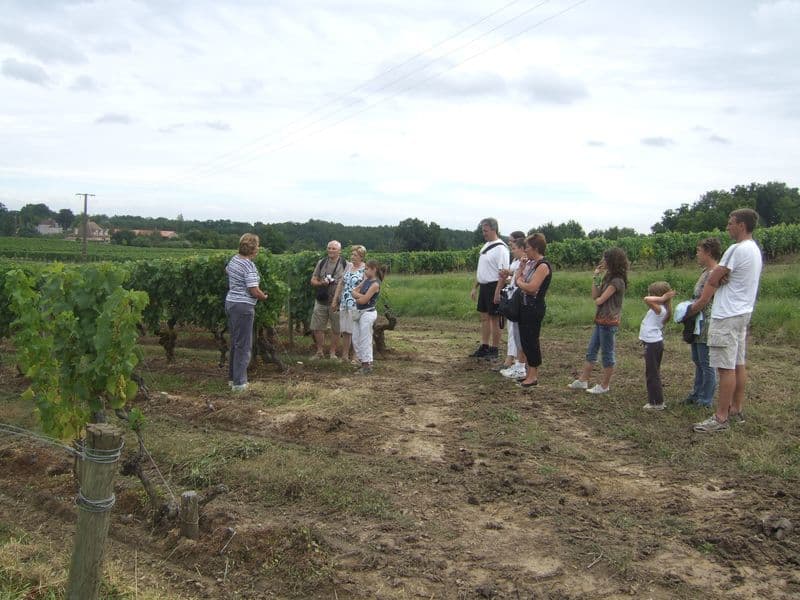 chateau-du-haut-pezaud (3)
