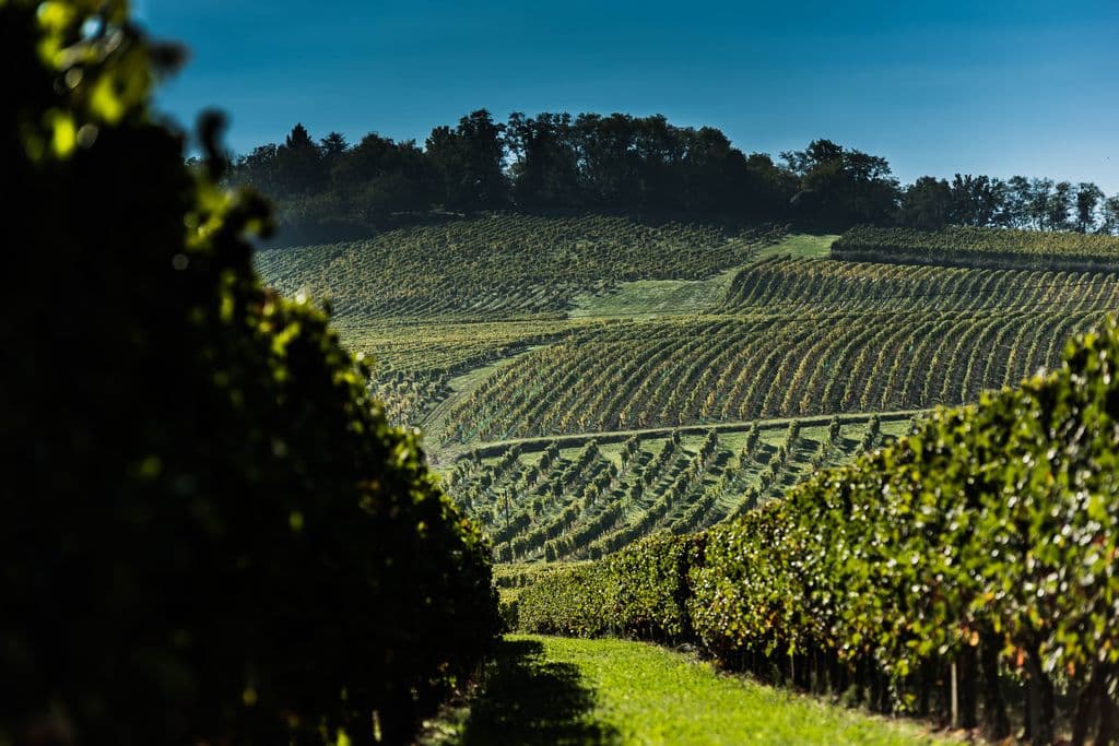 chateau_haut_lamouthe_2018 (4)