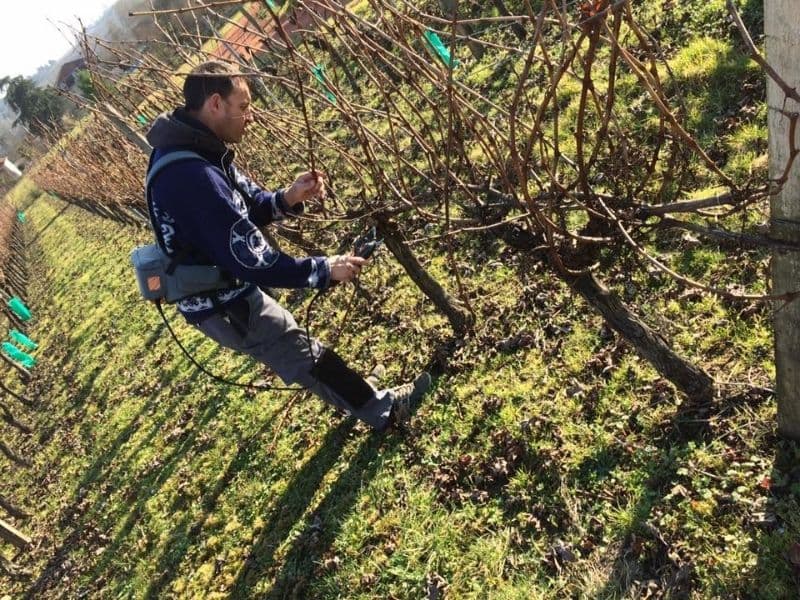 chateau haut pradot
