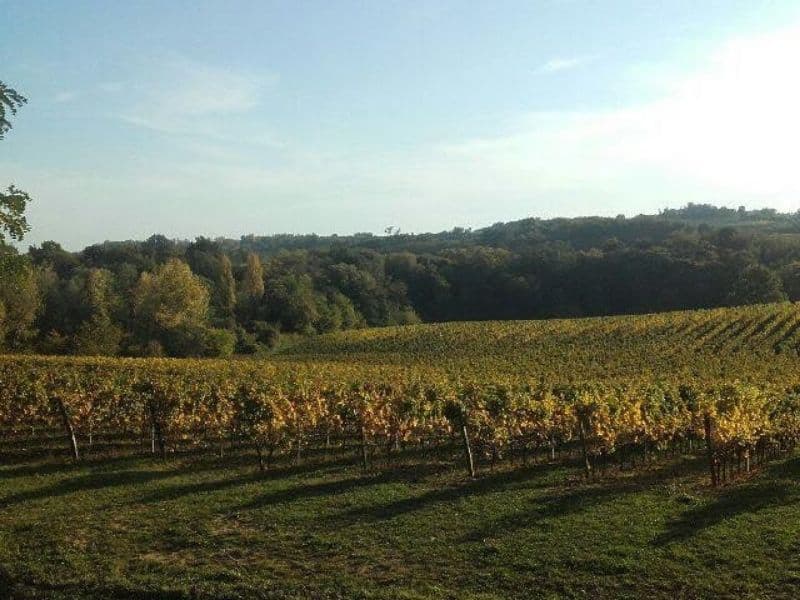 chateau haut pradot