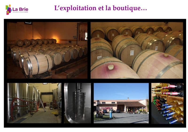 chateau-la-brie (2)