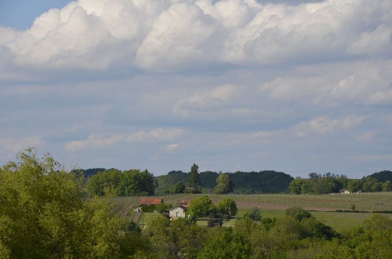 chateau-la-robertie (5)