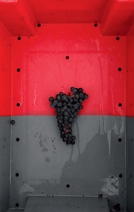 chateau-lafon-rochet-domaine-familiale-citation
