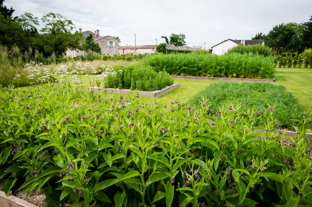 chateau_monestier_la-tour_Le jardin