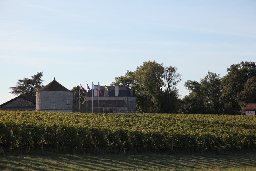 chateau-montdoyen (1)