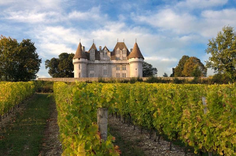 chateaudemonbazillac©chateaudemonbazillac (33)
