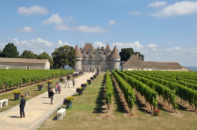 chateaudemonbazillac©chateaudemonbazillac (37)