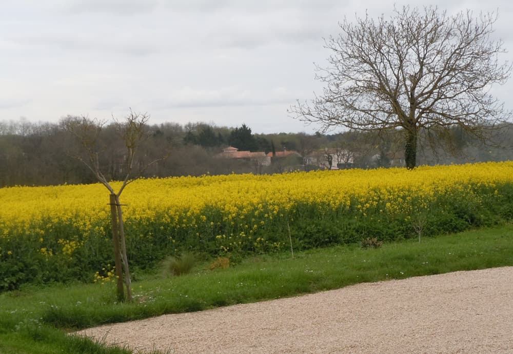 Le Clos des Ageasses_15