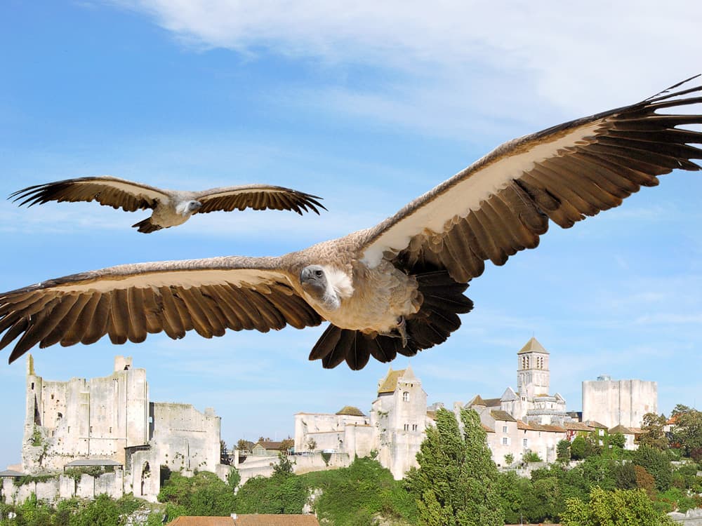 Géants du Ciel_1