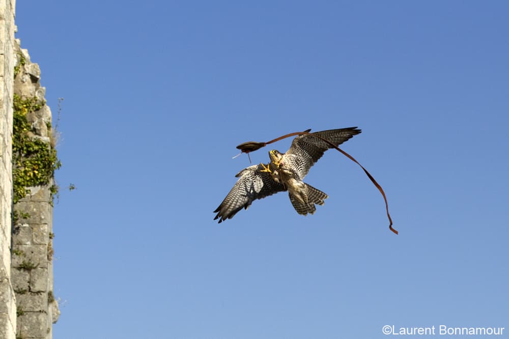 Géants du Ciel_11