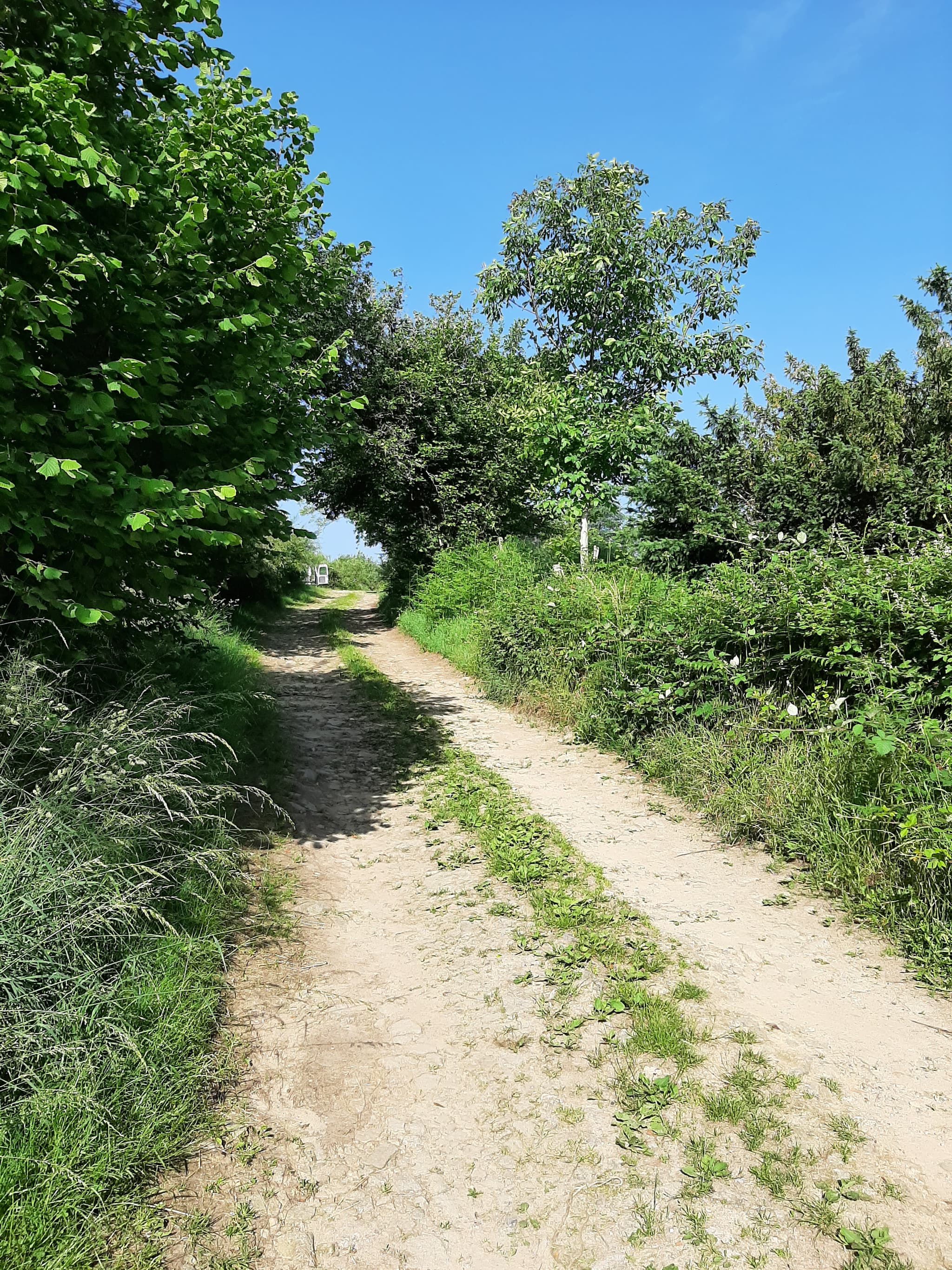 chemin accescamping
