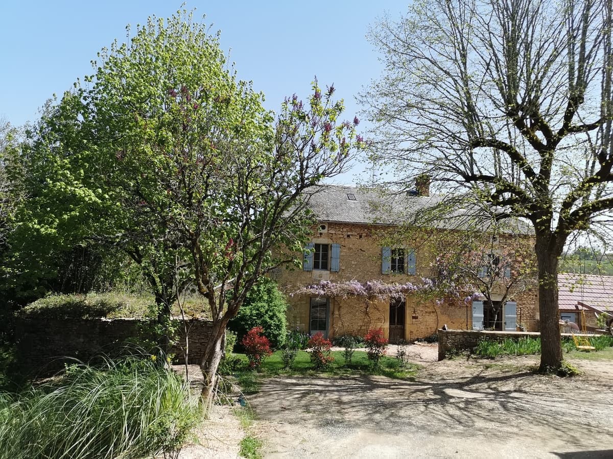 chêne 01