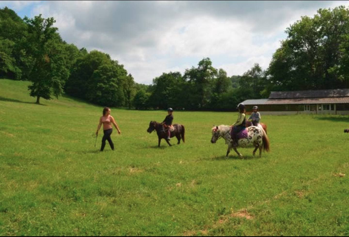 Les P'tits cavaliers - Aubertin - les poneys