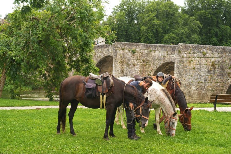 cheval nomad