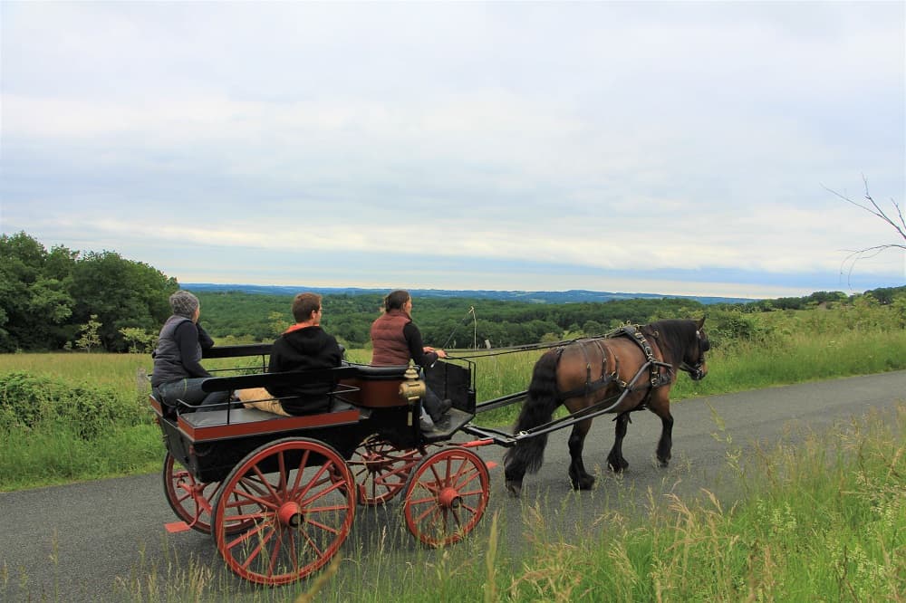 chevaux-dans-caleches