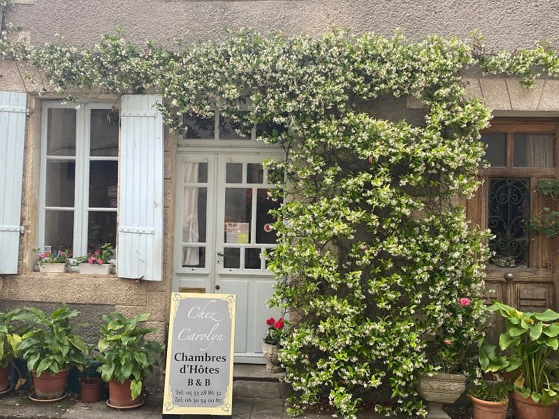 chez Carolyn int