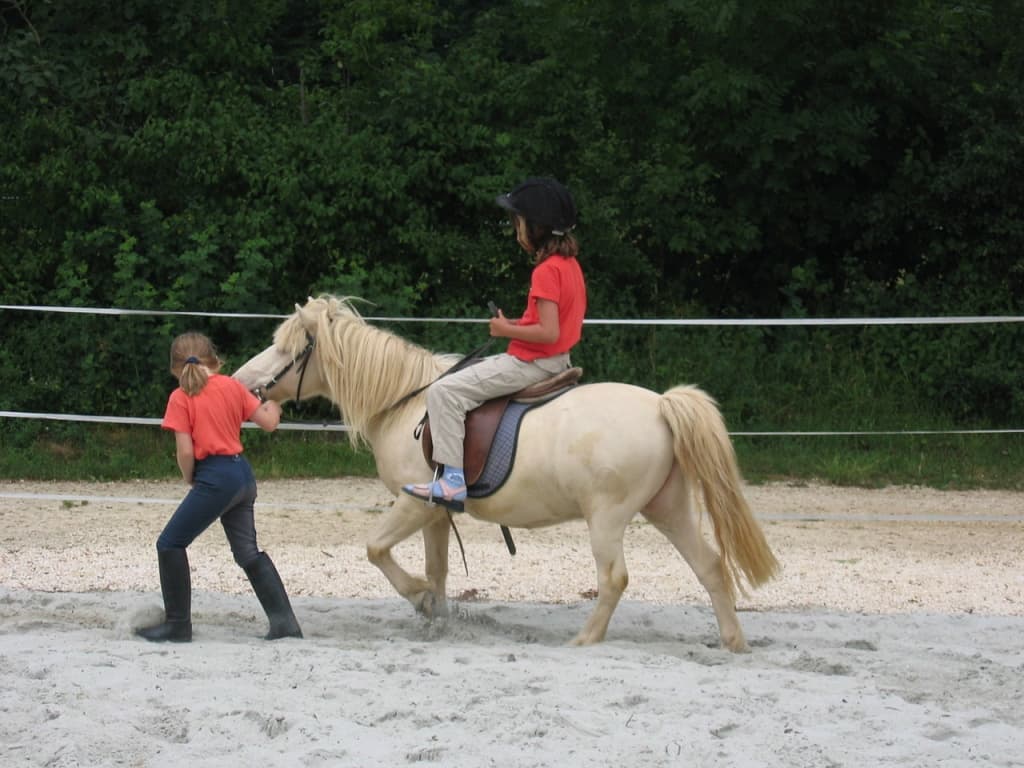 Equitation