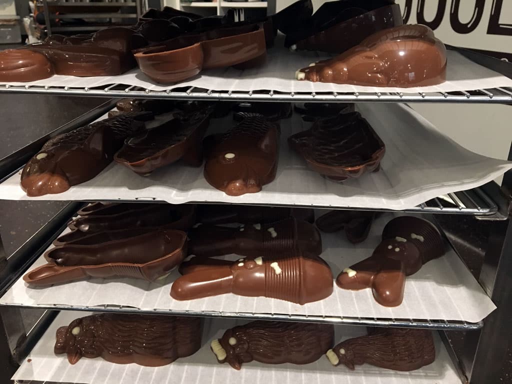 chocolaterie-lamy-brive-7