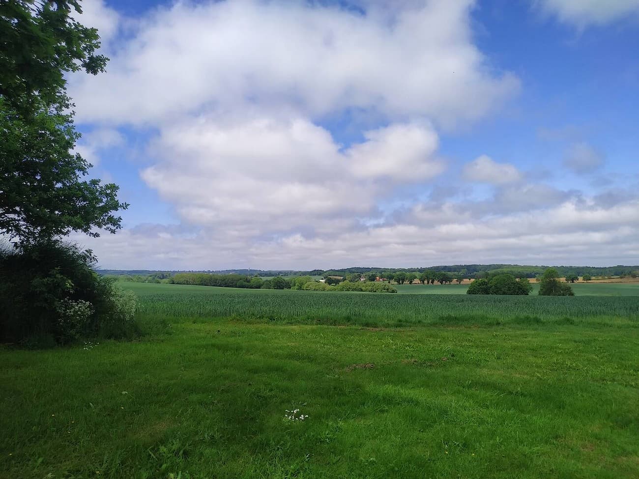 cirieres-gite-la-breneliere-paysage