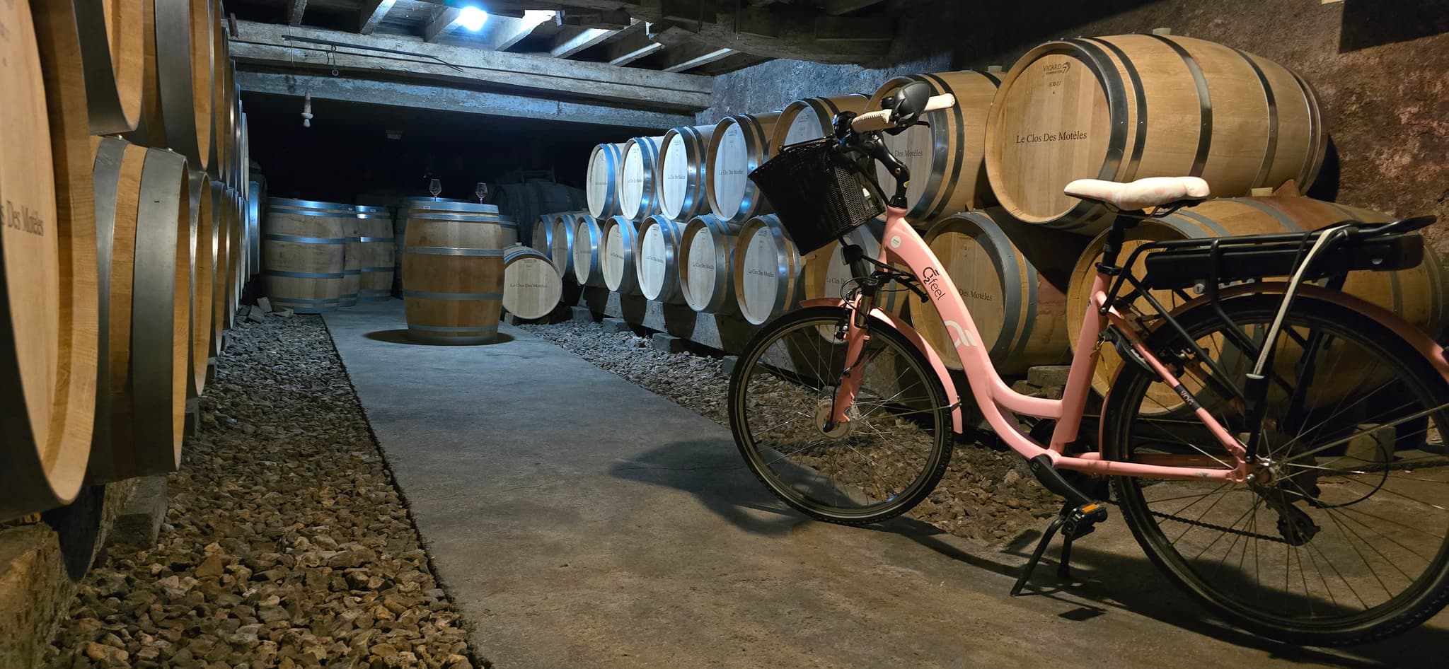 Clos moteles Viticulteur Vins degustation Ste Verge Thouarsais Deux Sevres