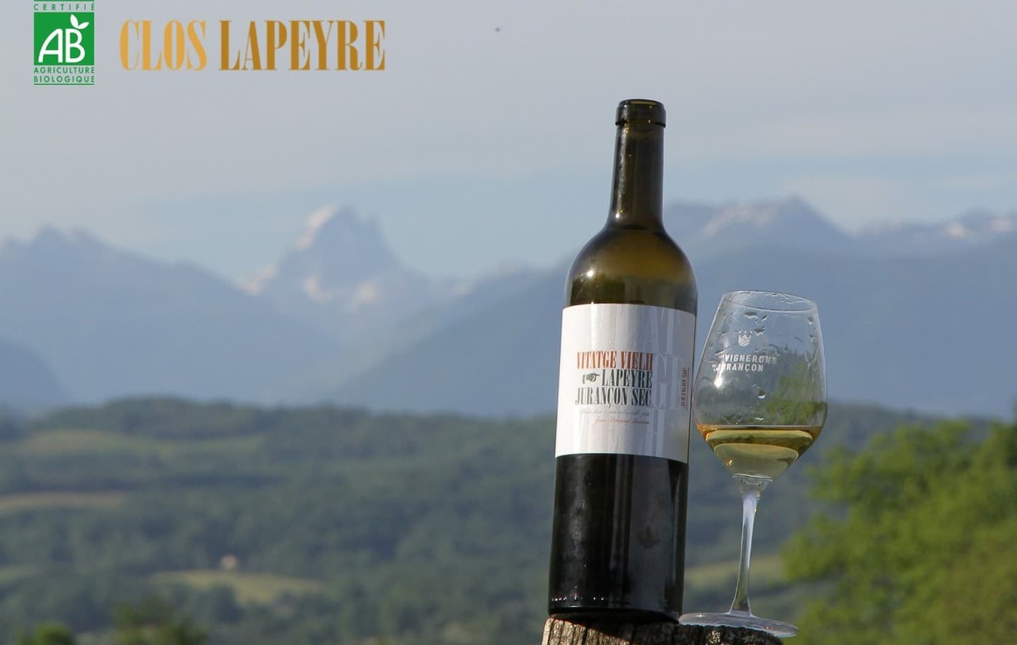 Clos Lapeyre - vins de Jurançon - oenotourisme - Vallée d'Ossau - santat