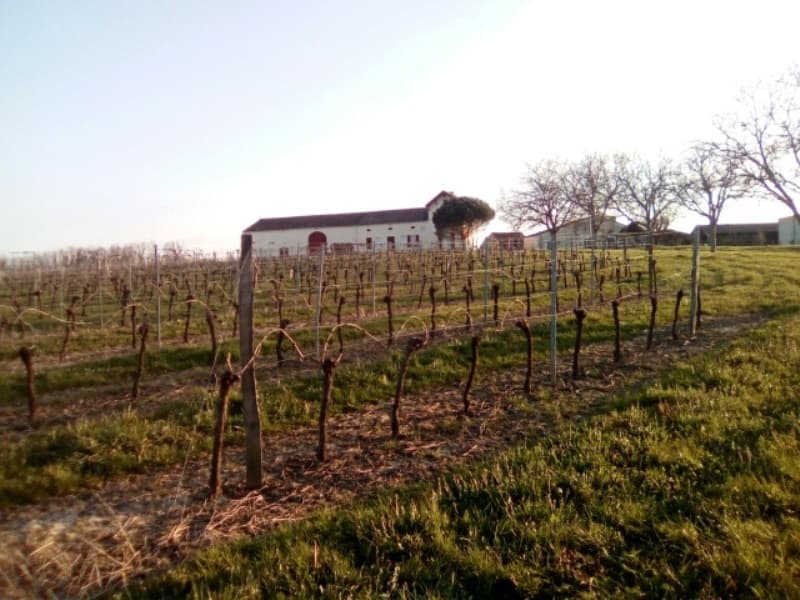closlaborie_domaine
