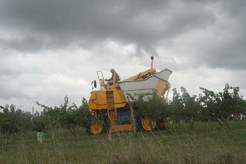 closlaborie_vendanges