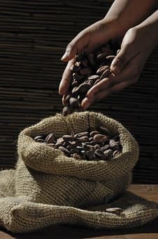 Chocolat