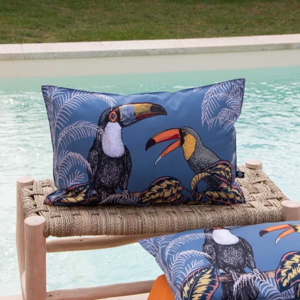 collection-toco