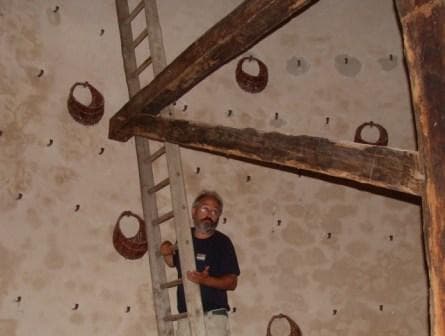 colombier de Roquefort