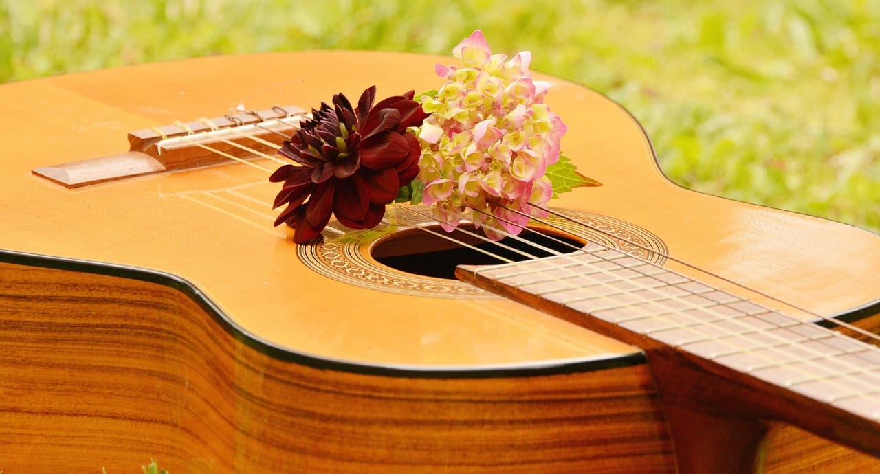 congerdesign-guitar