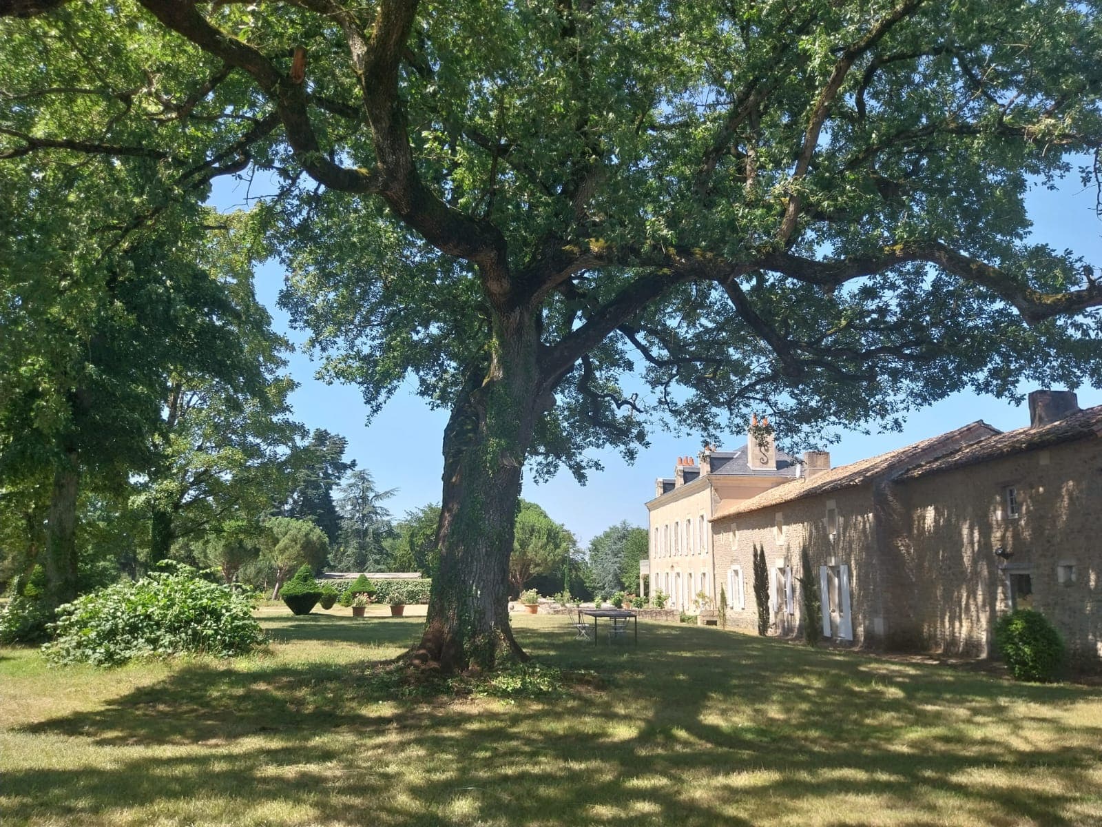 Domaine d'Ancia à Anché _ Vienne _côté parc
